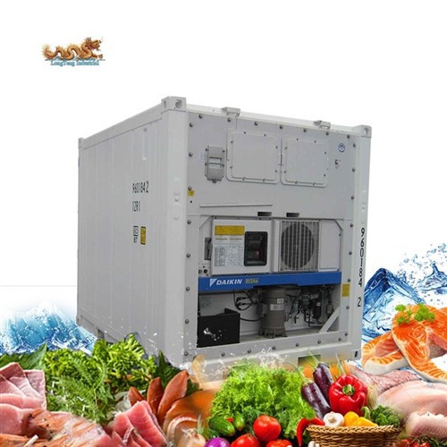 מיכל שונית של מטר וחצי